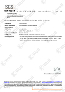 Test report Hyundae sheet